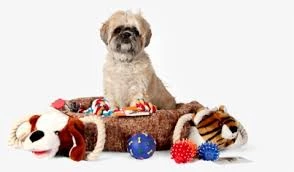 Pet Supplies